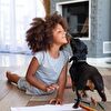 Little dog licks the little girl's face